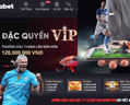 Hướng Dẫn Cách Đọc Tỷ Lệ Kèo Cho Người Mới Chi Tiết A-Z